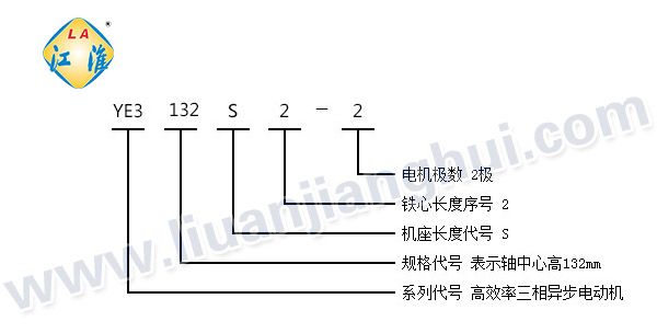 YE3系列三相異步電動(dòng)機_型號意義說(shuō)明_六安江淮電機有限公司